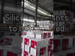 ซิลิคอนซีแลนท์1